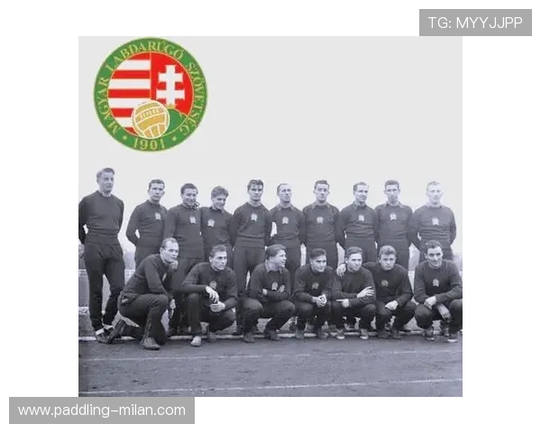 匈牙利足球传奇球星的辉煌历程与对世界足坛的深远影响