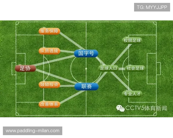 足球明星在中国的受欢迎程度分析及其背后原因探讨