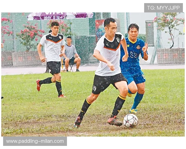 足球明星画作集：呈现绿茵场上的经典瞬间与人物风采